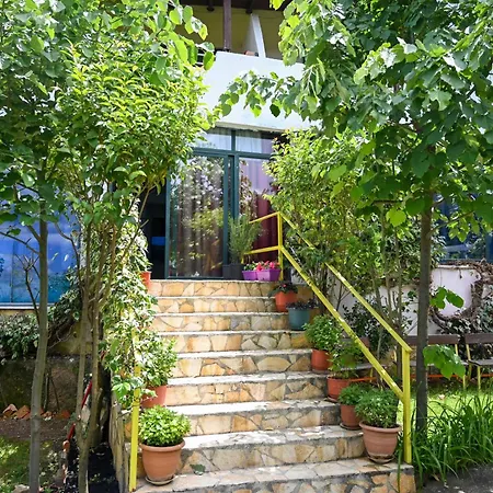 Hotel Joni Restaurant Bucimas